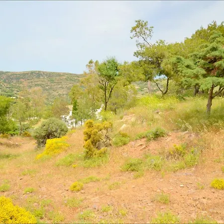 Hébergement de vacances Ralaki Cottage