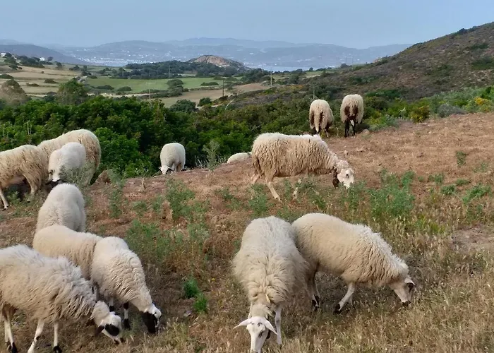 Ralaki Cottage * Ralaki