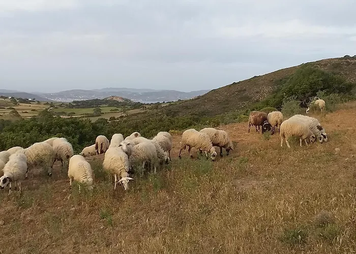 Σπίτι διακοπών Ralaki Cottage